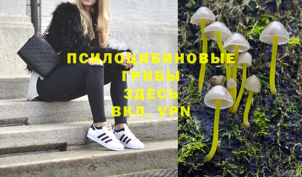2c-b Белоозёрский